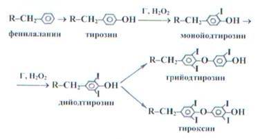 Синтез йодтиронинов схема